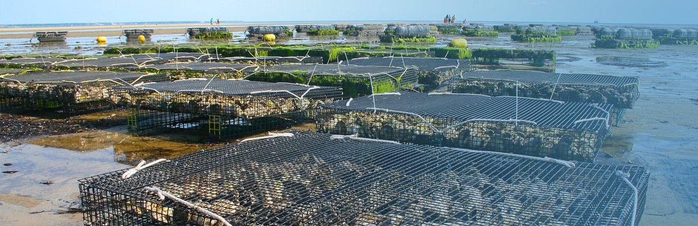 Les meilleurs matériels, matières et produits pour vos projets aquaculture.